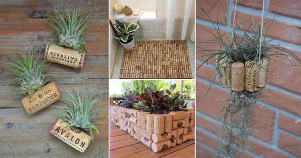 24 Ótimas idéias de cortiça de vinho DIY para o jardim e casa