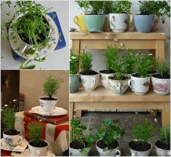 24 idées de jardin d'herbes intérieures pour chercher l'inspiration