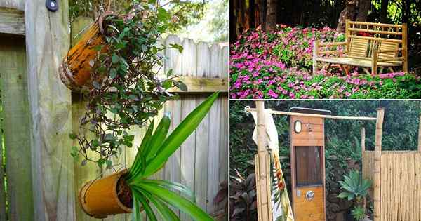 24 Projets et utilisations de bambou bambou spectaculaires dans le jardin