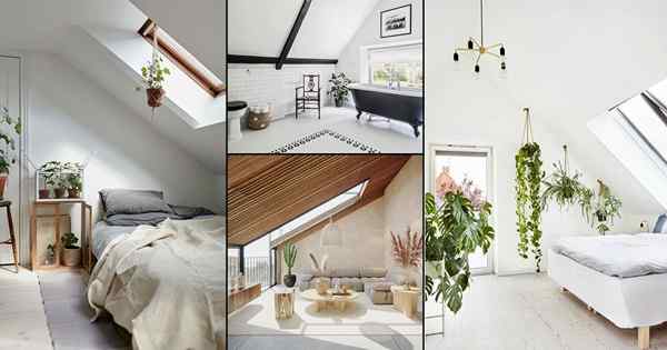 24 impresionantes habitaciones de ático con imágenes de plantas