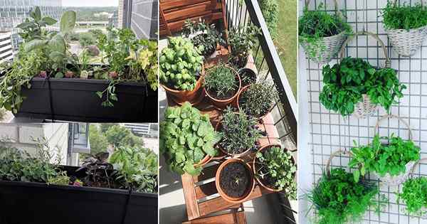 25 idées de jardin d'herbe balcon d'Instagram