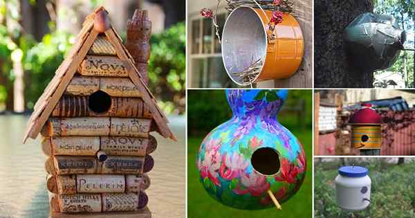 28 Best DIY -Vogelhaus -Ideen mit Plänen und Tutorials