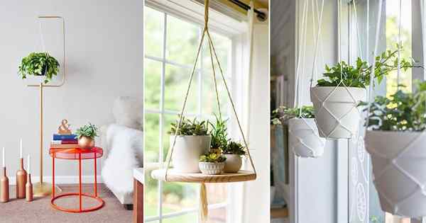 28 ideas creativas de percha de plantas de bricolaje