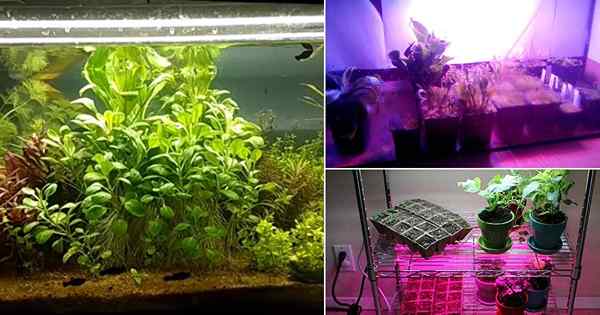 29 DIY LED Grow Light Painéis que você pode fazer em casa