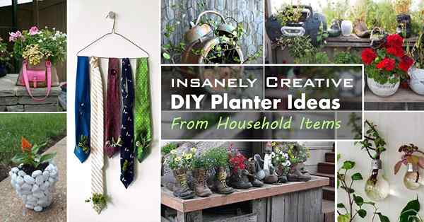 29 Ideas de plantador de bricolaje increíblemente creativas de artículos para el hogar