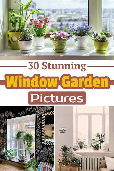 30 atemberaubende Fenstergartenbilder