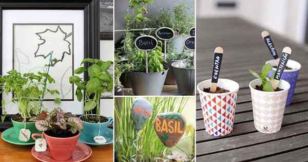 32 Idéias fofas de marcadores de plantas de bricolage para jardineiros de contêineres