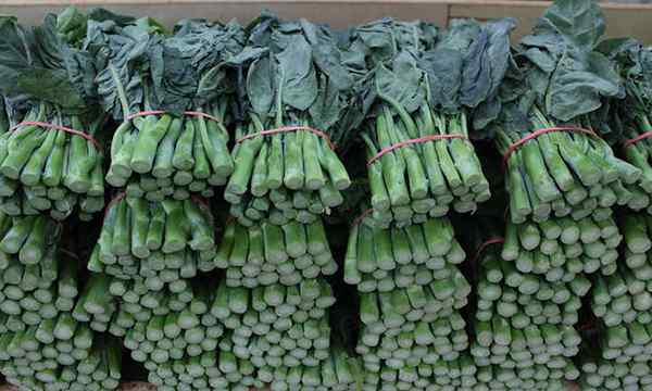 33 légumes asiatiques que vous devriez cultiver