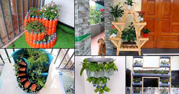 35 Diys de jardin les plus populaires sur YouTube en 2020