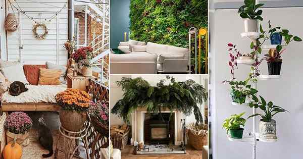 35 cosas de jardinería interior de moda de 2020 en Instagram