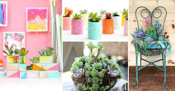 37 Le plus beau jardin de récipients succulents diys avec tutoriels!