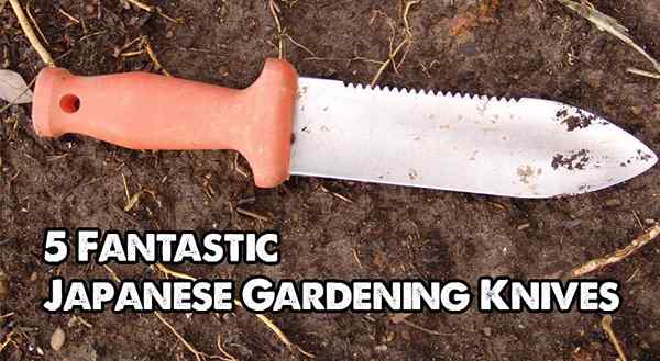 4 meilleurs couteaux de jardinage japonais (couteaux hori-hori)
