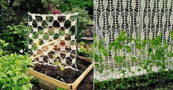 4 ideas únicas de enrejado de crochet de bricolaje para jardín