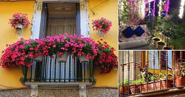 47 Jardins de balcon Instagram pour chaque jardinier de balcon