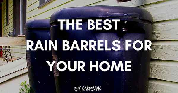 5 meilleurs barils de pluie pour votre maison