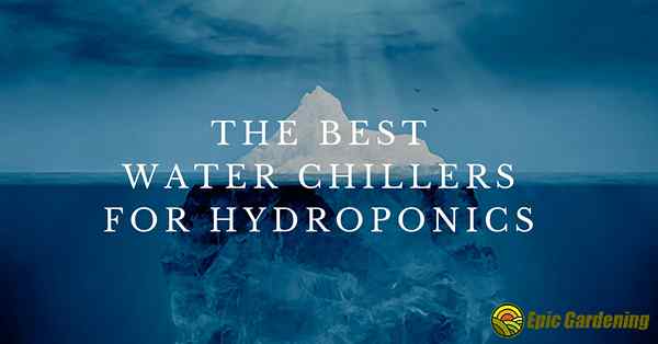 5 meilleurs refroidisseurs d'eau pour l'hydroponie