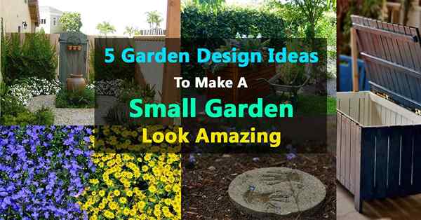 5 Gartendesign -Ideen, um einen kleinen Garten fantastisch aussehen zu lassen