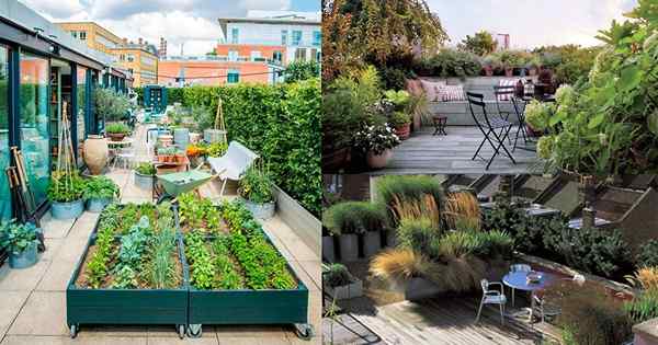 5 projektów ogrodów dachowych Warto spojrzeć