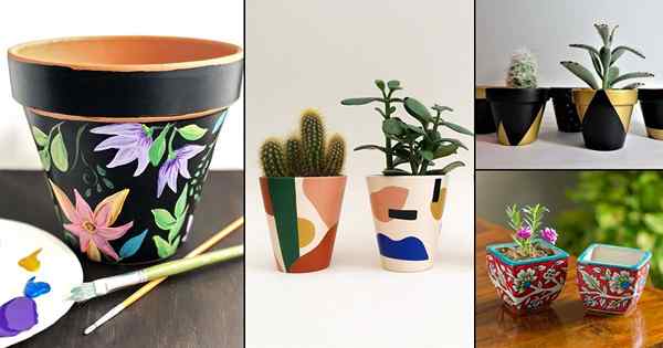 50 pots peints pour chaque inspiration des jardiniers