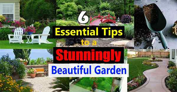 6 conseils essentiels pour faire un jardin incroyablement beau