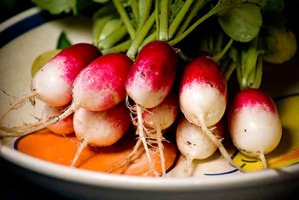 6 schnelles wachsendes Gemüse für Ihren Garten