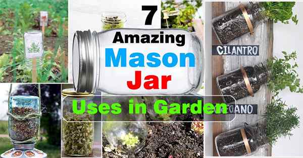 7 Diy Mason Jar Ideen für Garten