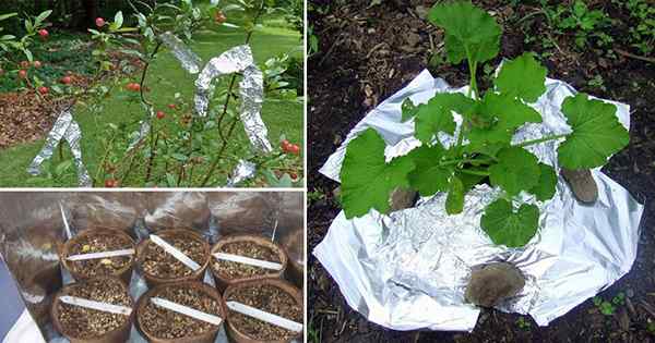 7 usos de aluminio ingenioso en el jardín