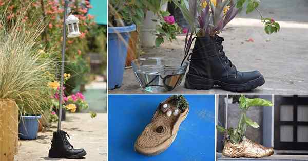 8 increíbles trucos de zapatos viejos en jardín