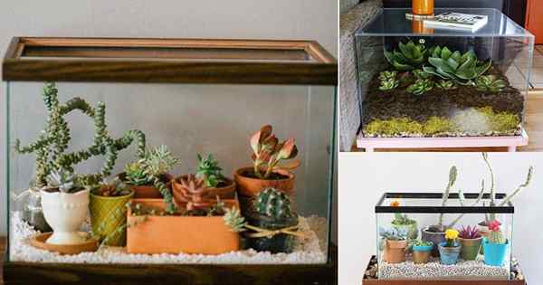 8 DIY Fish Tank Pflanzer & Terrarium Ideen