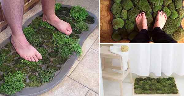 8 Idéias de tapete de banho DIY Moss | Como fazer tapete de banho de musgo