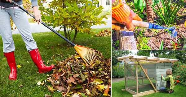 8 ejercicios de las tareas de jardinería para mantenerte en forma