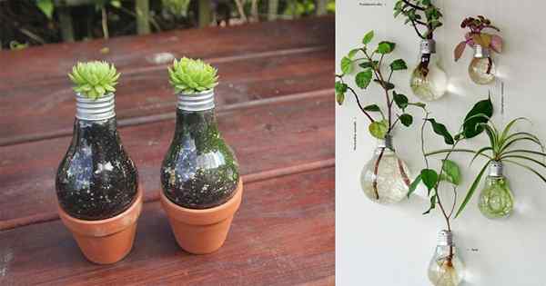 9 blinkende DIY -Glühbirnen -Pflanzer & Terrarium Ideen