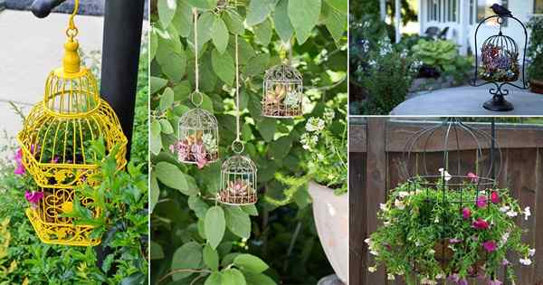 9 idées de jardinière de cage à oiseaux cool bricolage