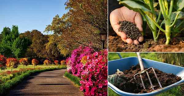 9 Coisas importantes para fazer em Garden em abril | Tarefas de jardim de abril