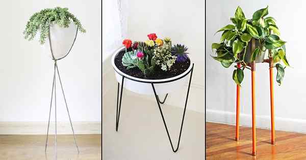 9 Modern DIY Tripod Plant Stand Ideas