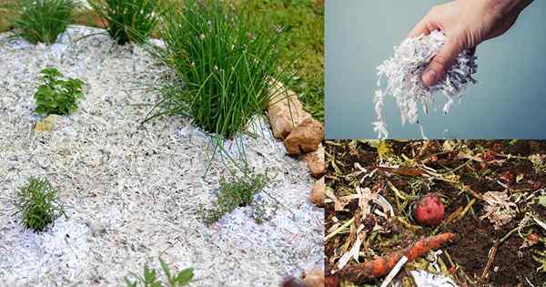 9 Mögliche Möglichkeiten, verkleinertes Papier im Garten zu verwenden