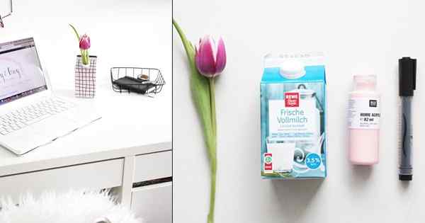 Awesome Tetra Pak Craft le transforme en un vase de bricolage