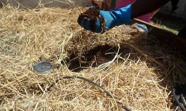 Meilleur thermomètre à compost nos 6 meilleurs choix