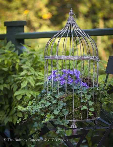 Pájaro con flores | Cómo crear un jardín de flores de la jaula de pájaros