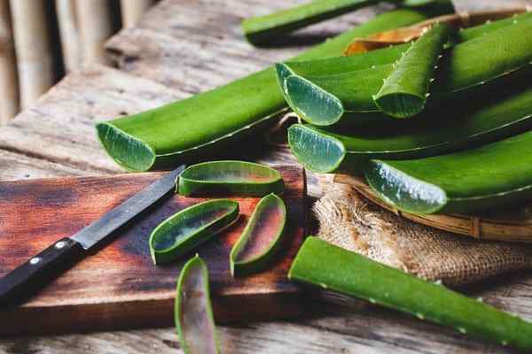 ¿Puedes comer planta de aloe vera? Beneficios de comer aloe vera crudo