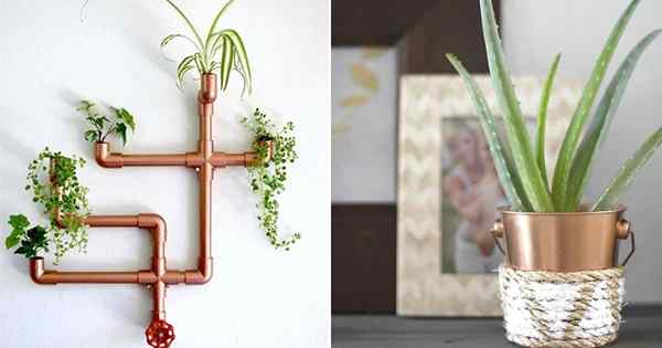 Jardinières en cuivre bricolage bon marché pour plantes intérieures qui ont l'air chères