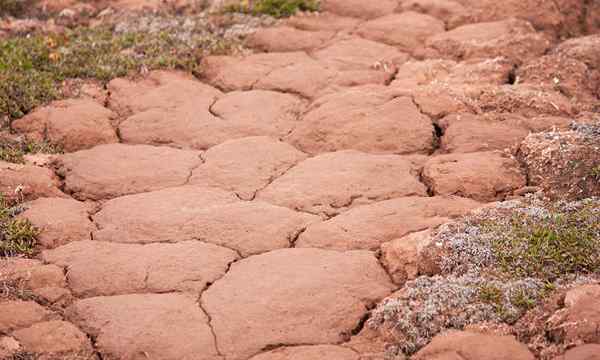 Gliniane wskazówki dotyczące zmiany i ulepszenia gleby