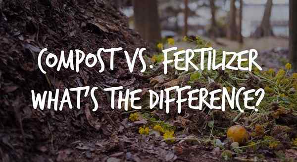Compost vs. Engrais quelle est la différence?