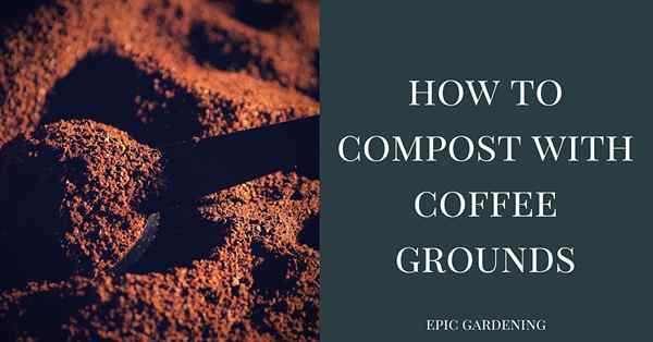 Compostagem com o Coffee Grounds Um guia completo