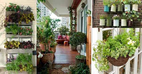 Idées créatives pour les conteneurs de jardin de balcon