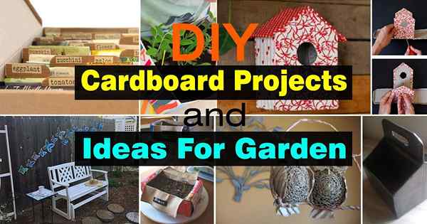 Projetos e idéias de papelão DIY para jardim