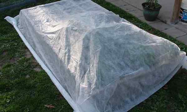 Protection de la couverture de gel pour les plantes