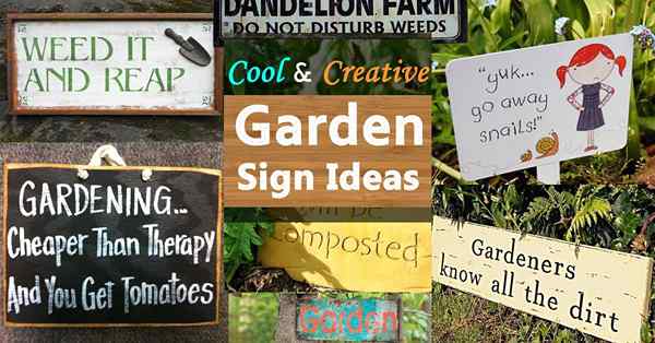 Ideas de signo de jardín