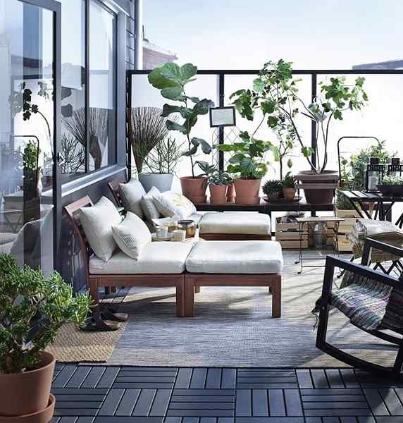 Tomaten auf einem Balkon anbauen