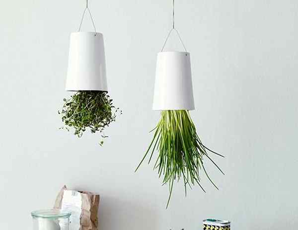 Gantung Herba Terbalik | 8 DIY Upside Down Project Planter Herb